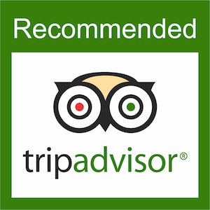 Tripadvisor Review Haridwar Rishikesh Tourism