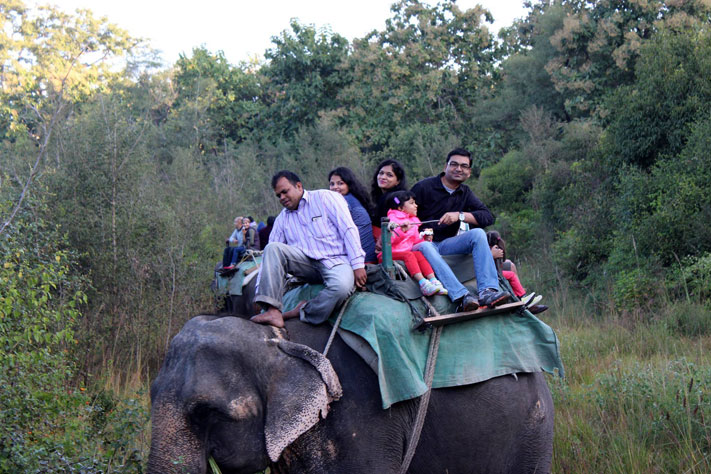 elephant-jungle-safari-national-park