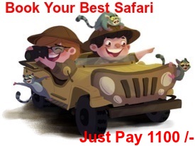Enjoy Jeep Safari