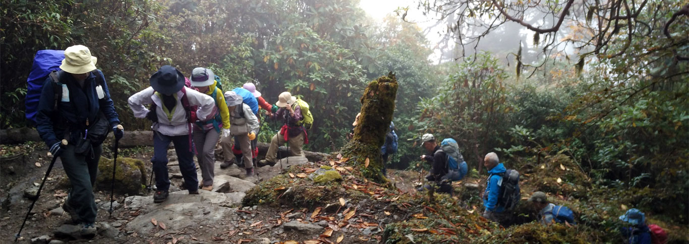 trekking-himalayas