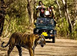 haridwar-rishikesh-with-corbett-tour