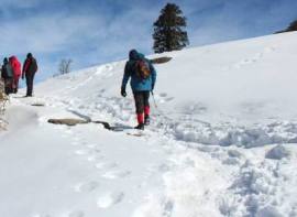 Dayara Bugyal Trekking