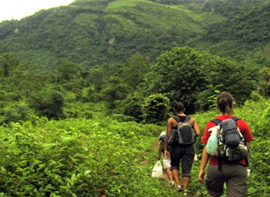 trekking-in-rishikesh