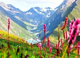 Valley Of Flowers Tour