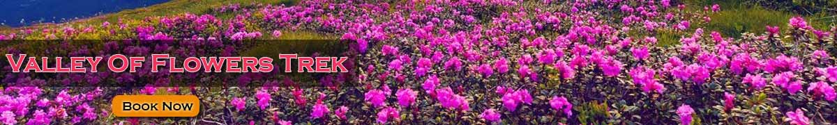Valley of Flowers Trek 2022